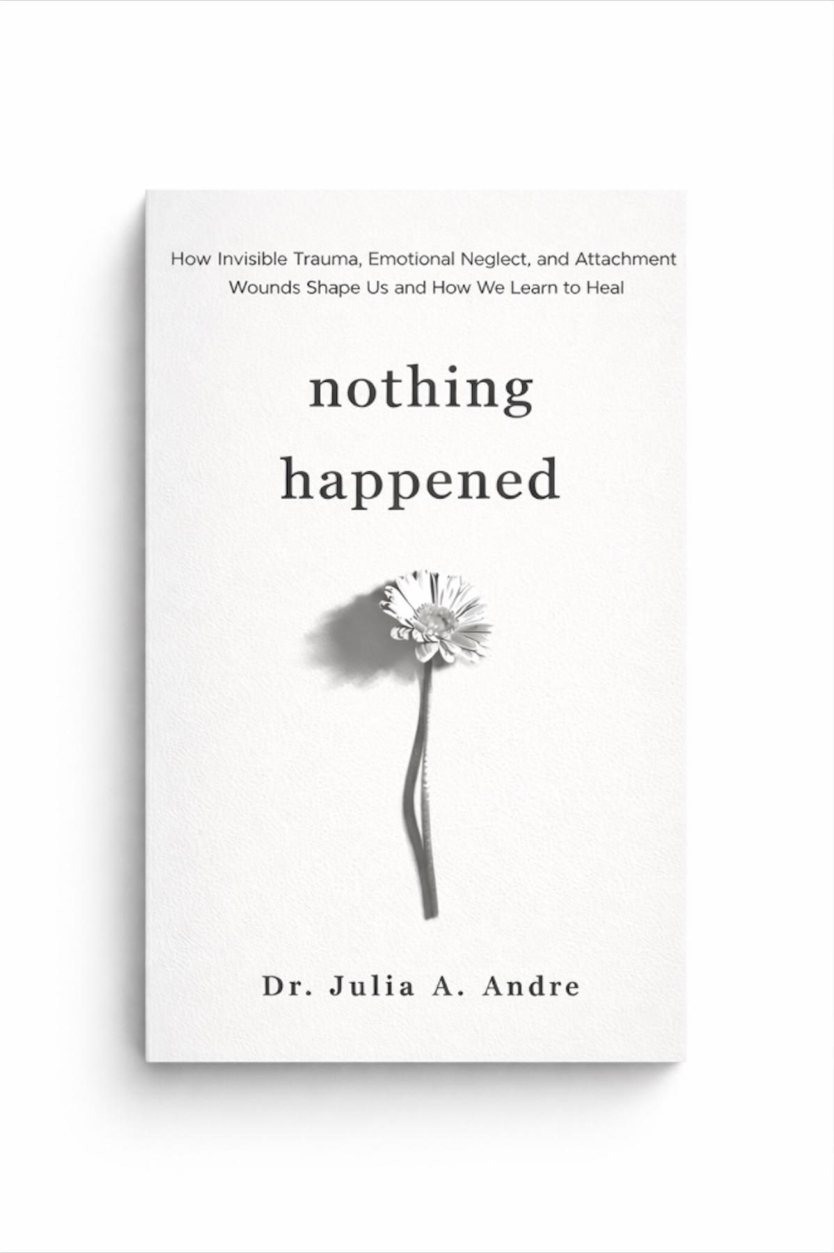 Nothing Happened book cover